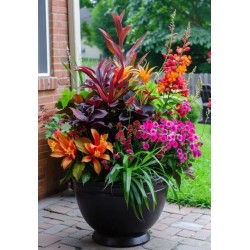 Outdoor Flower Planter Class